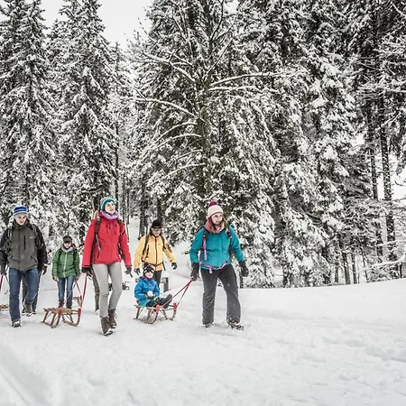 Bergseele Privat- & Retreathotel Schwarzwald Todtnauberg