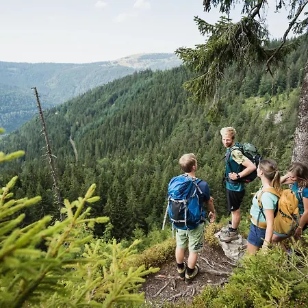 Bergseele Privat- & Retreathotel Schwarzwald 3* Тодтнауберг