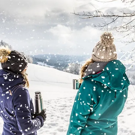 Bergseele Privat- & Retreathotel Schwarzwald Гостевой дом