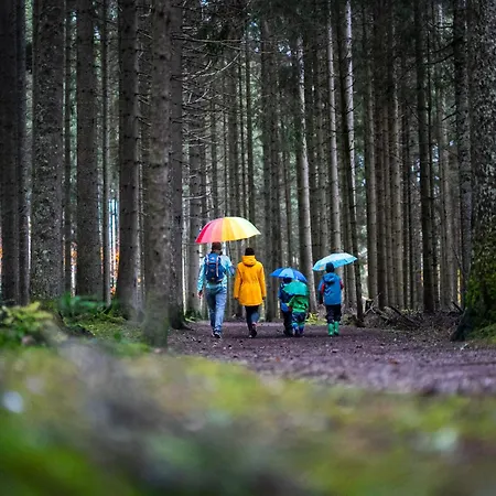 Konukevi Bergseele Privat- & Retreathotel Schwarzwald