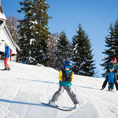Bergseele Privat- & Retreathotel Schwarzwald Konukevi Todtnauberg