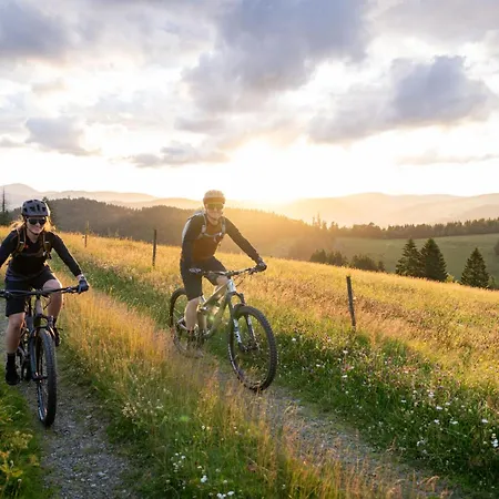 Bergseele Privat- & Retreathotel Schwarzwald 3*