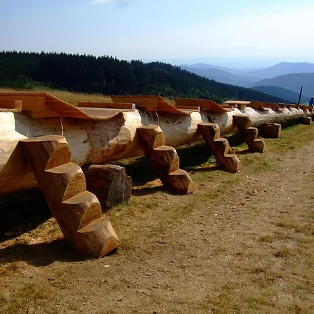 Bergseele Privat- & Retreathotel Schwarzwald Maison d'hôtes Todtnauberg
