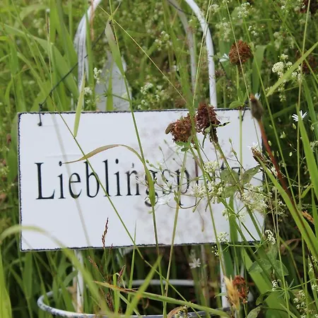 Bergseele Privat- & Retreathotel Schwarzwald 3* Todtnauberg